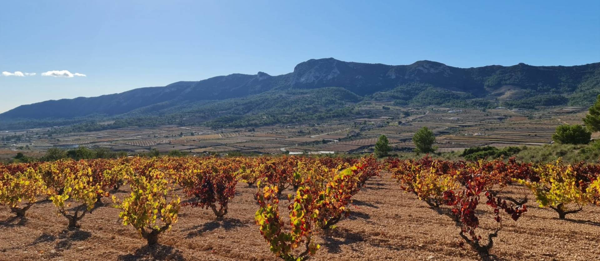 Sale - Land - La Romana