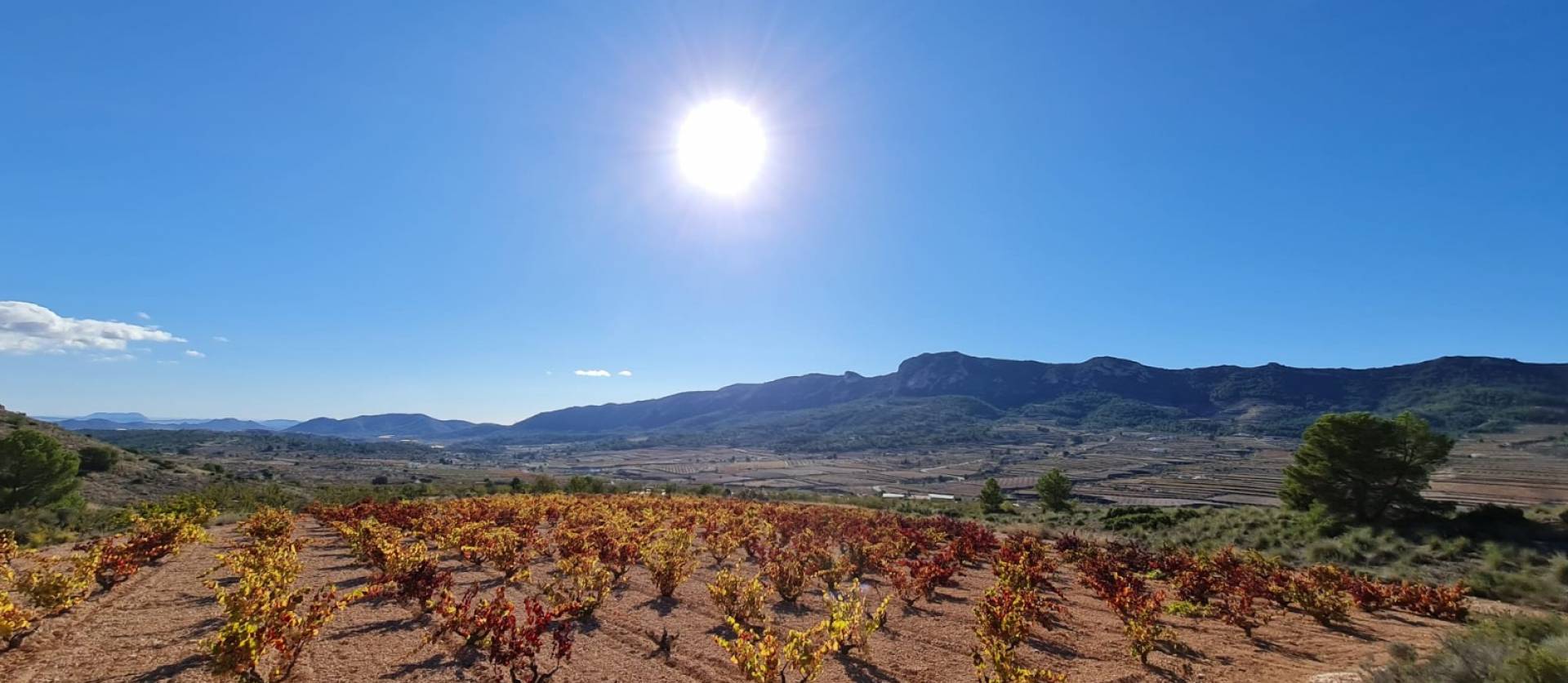 Sale - Land - La Romana