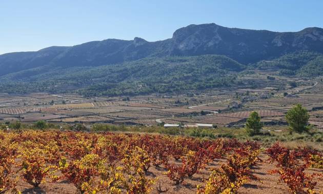 Sale - Land - La Romana