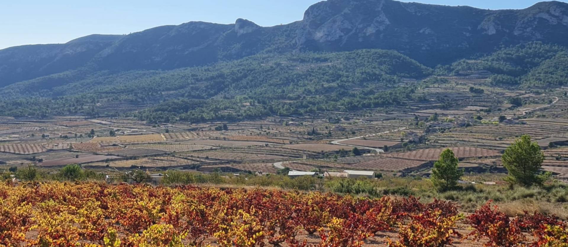 Sale - Land - La Romana