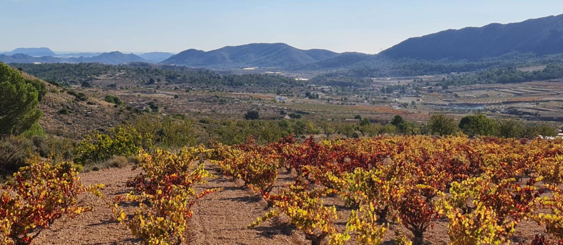 Sale - Land - La Romana