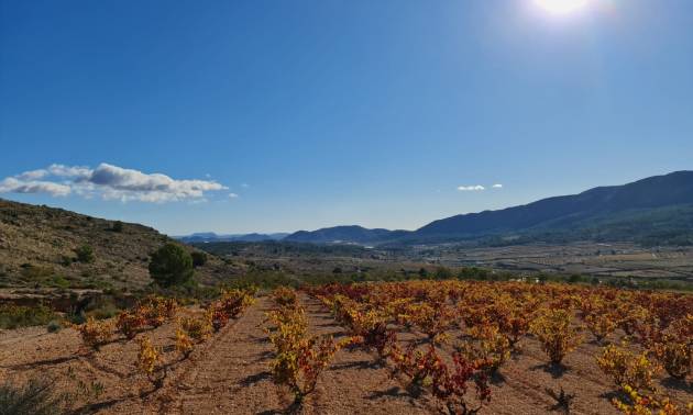 Sale - Land - La Romana