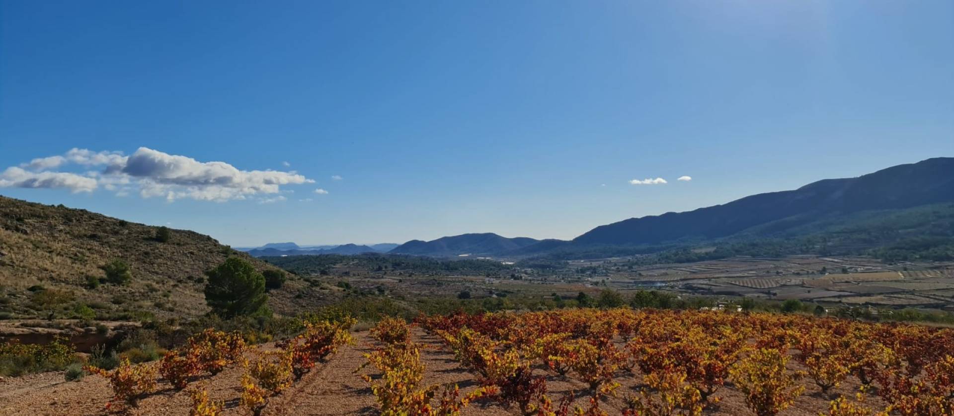 Sale - Land - La Romana