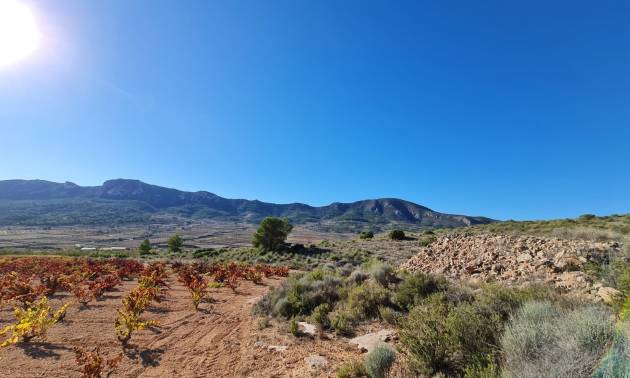 Sale - Land - La Romana