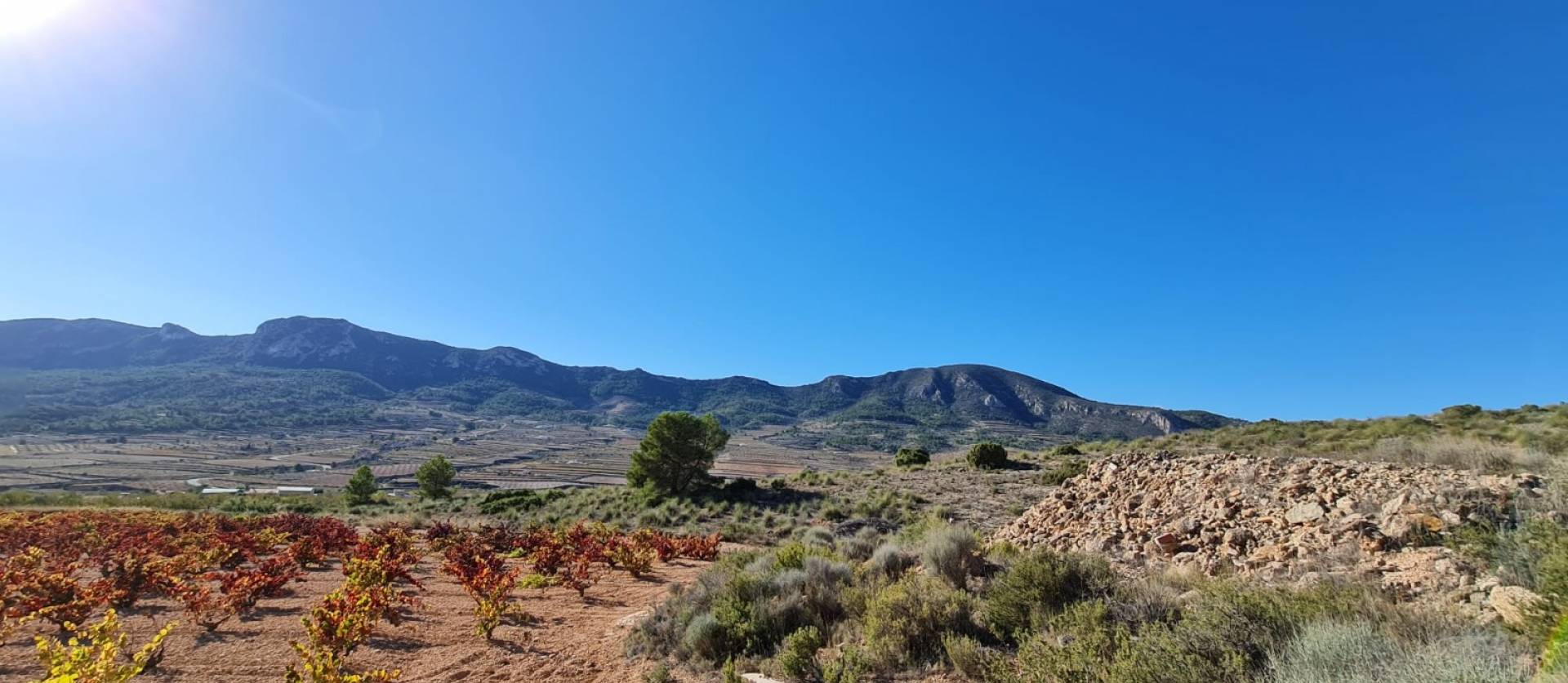 Sale - Land - La Romana