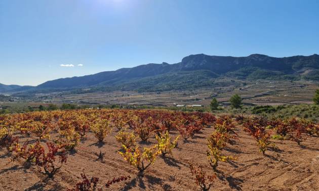 Sale - Land - La Romana