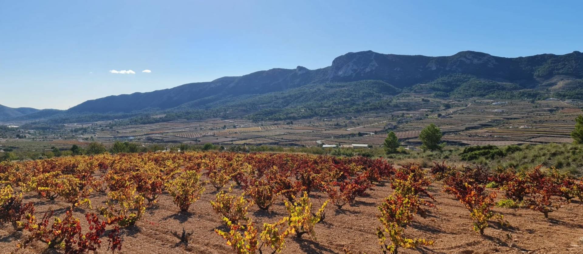 Sale - Land - La Romana