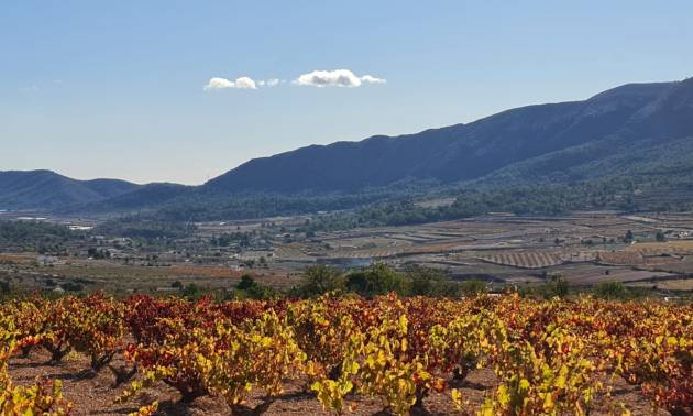 Sale - Land - La Romana