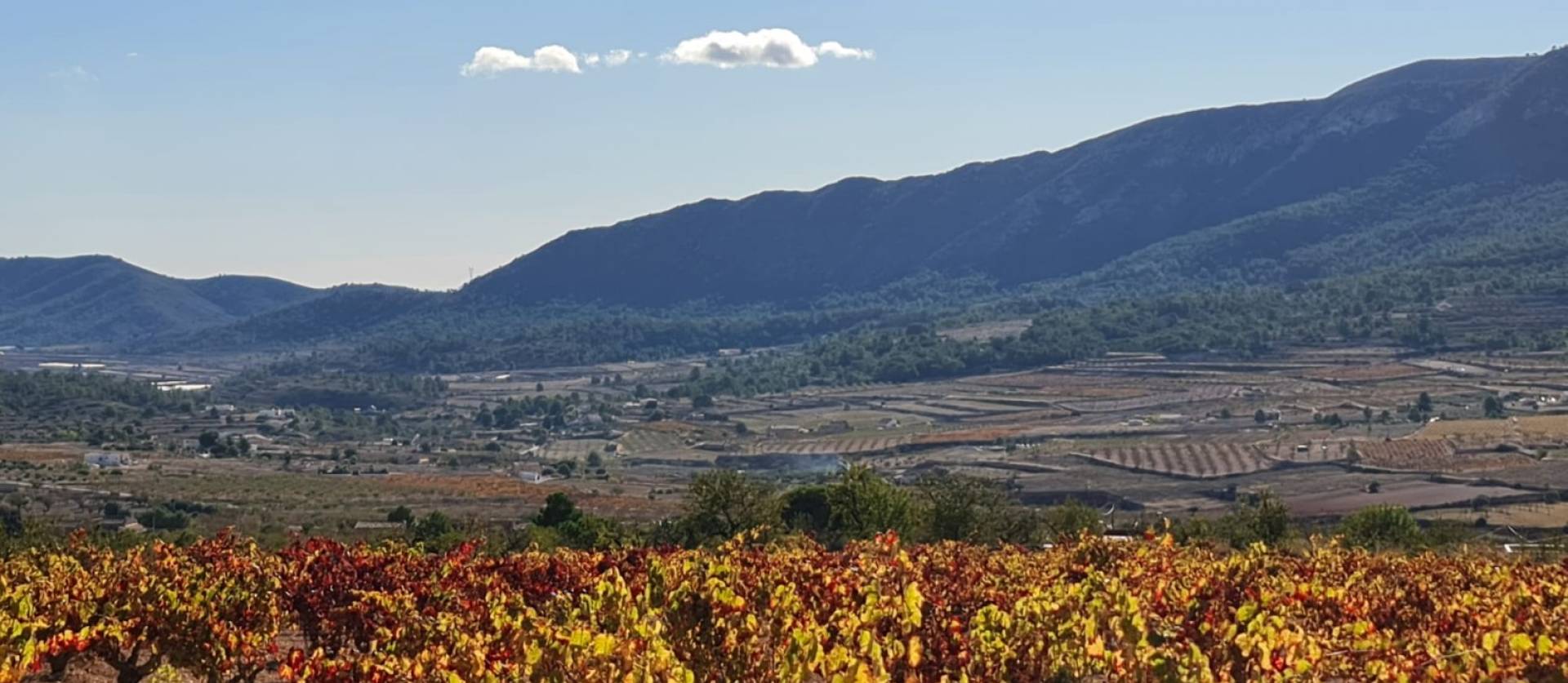 Sale - Land - La Romana