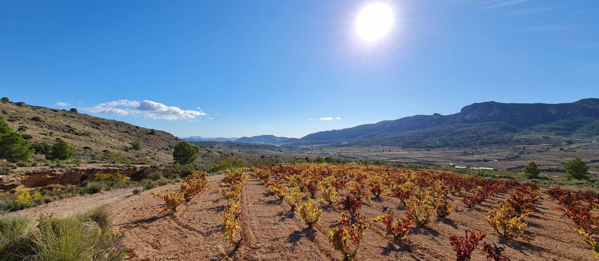 Sale - Land - La Romana