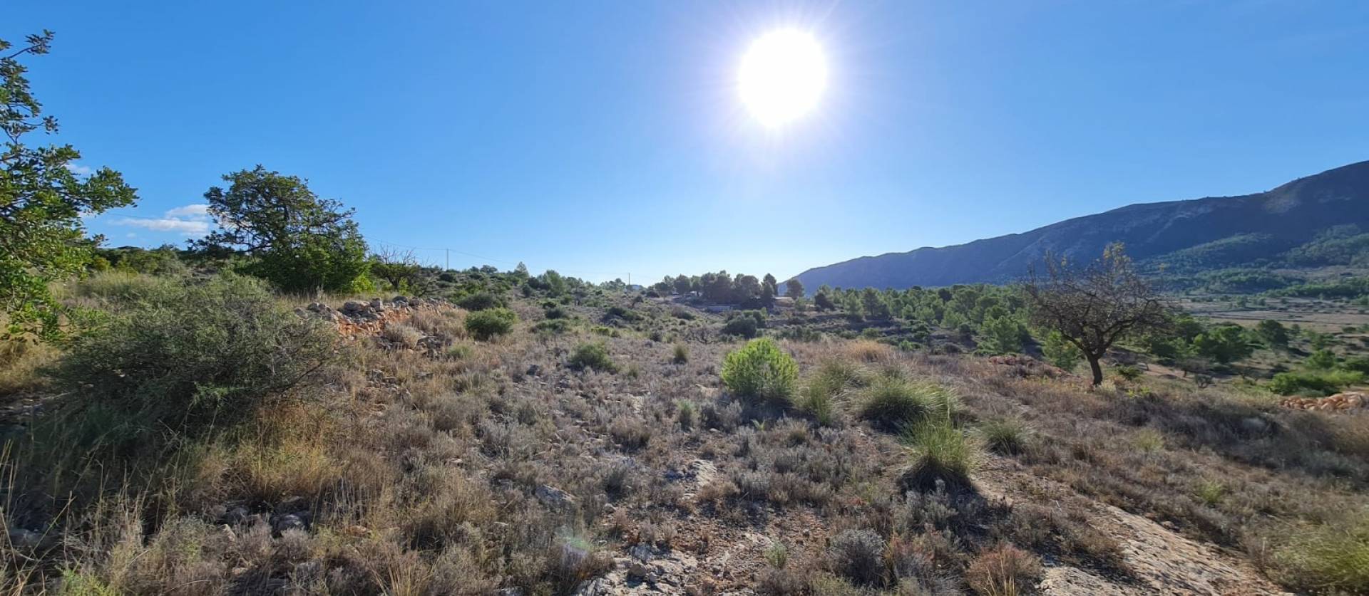 Bestaande woningen - Land - La Romana