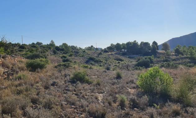 Bestaande woningen - Land - La Romana