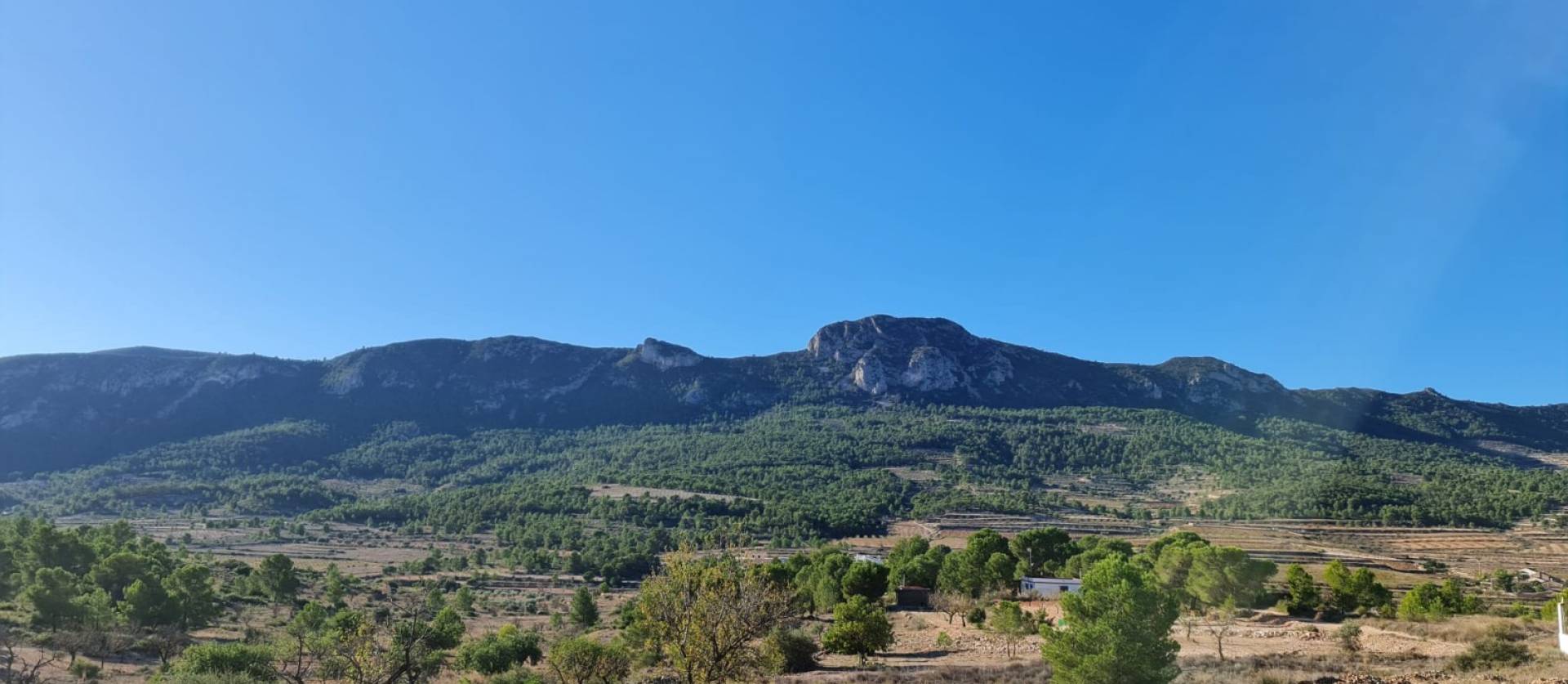 Bestaande woningen - Land - La Romana