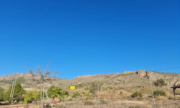 Bestaande woningen - Land - La Romana