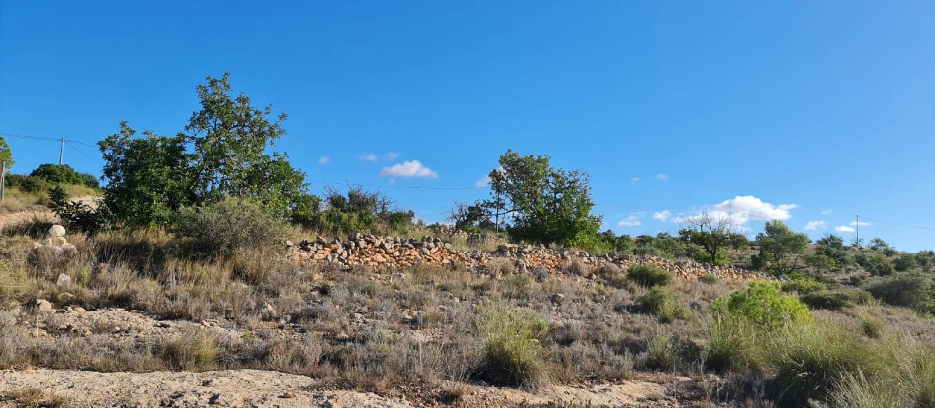 Bestaande woningen - Land - La Romana