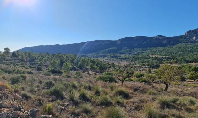 Bestaande woningen - Land - La Romana