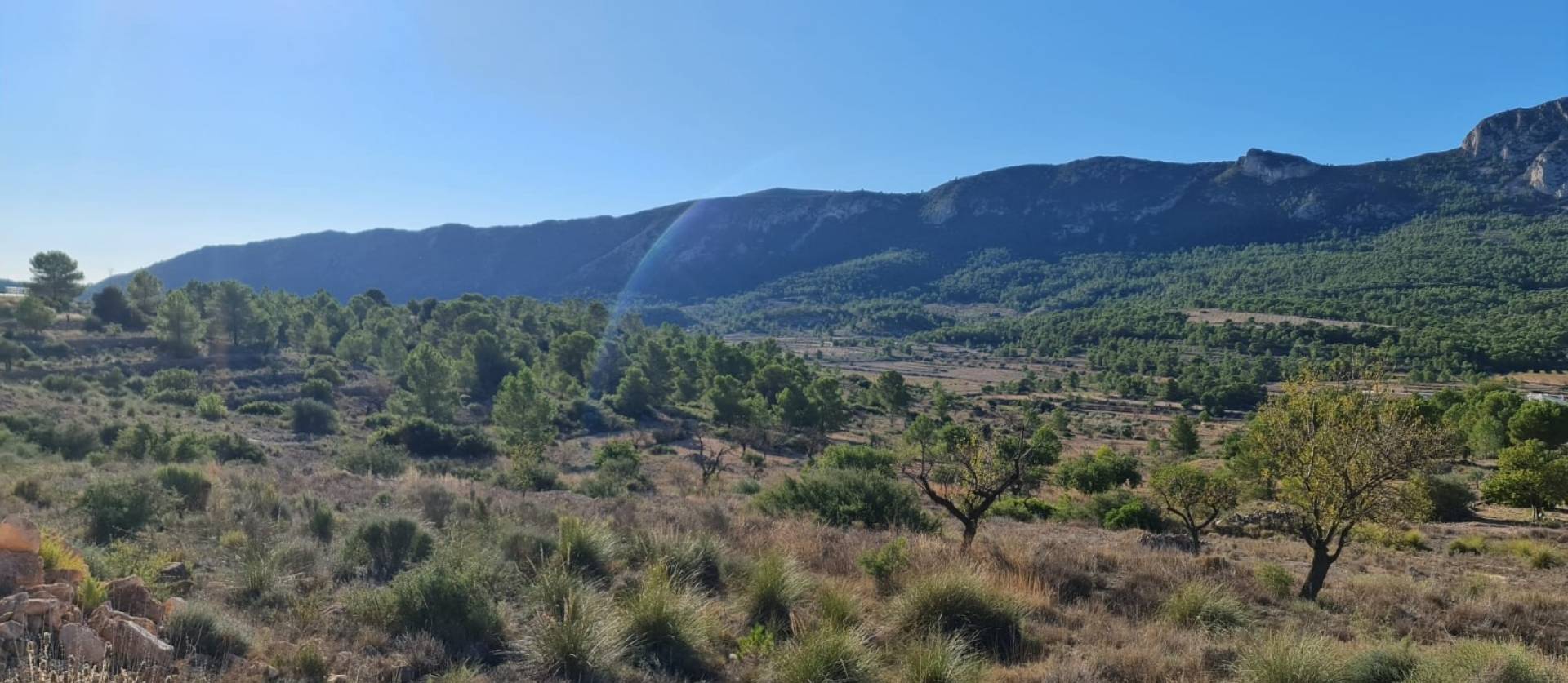 Bestaande woningen - Land - La Romana