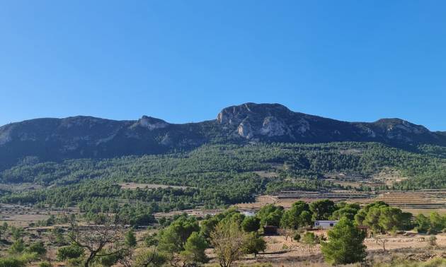 Bestaande woningen - Land - La Romana