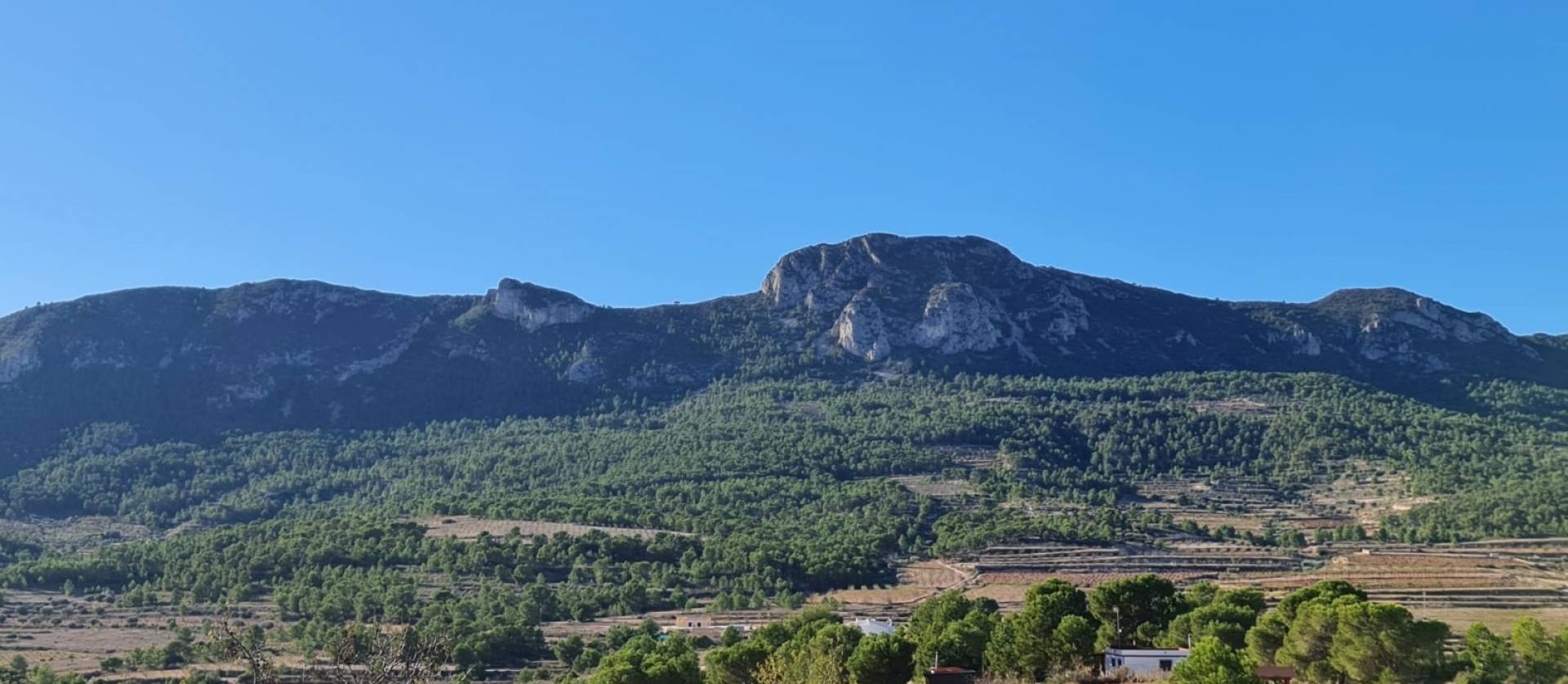 Bestaande woningen - Land - La Romana