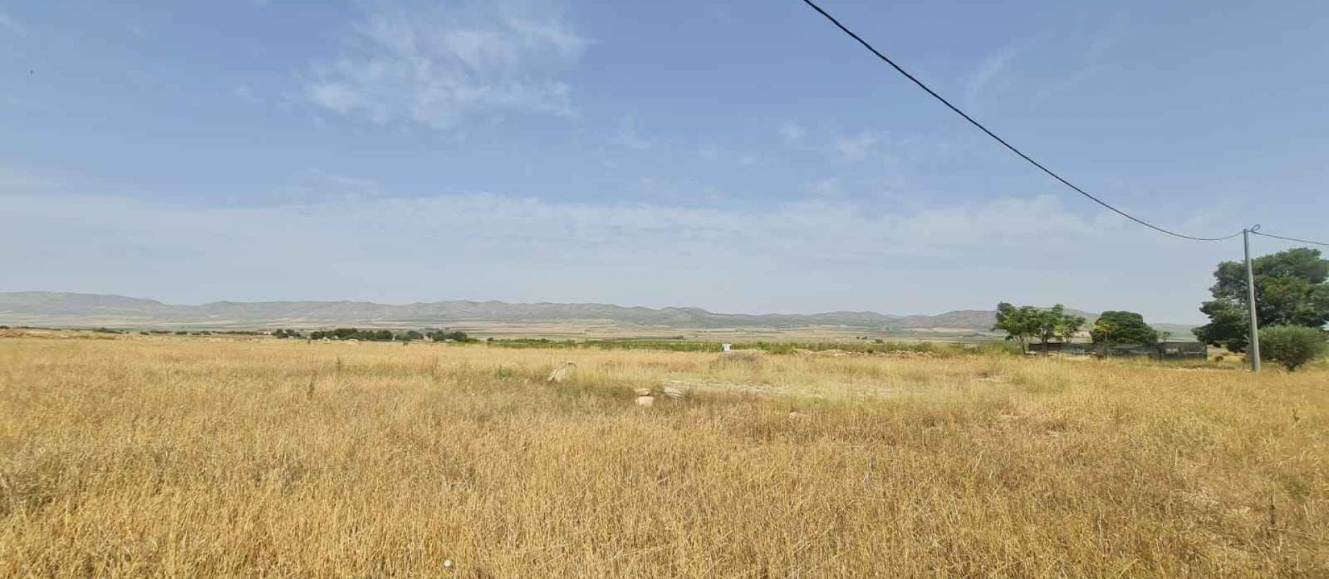 Revente - Land - Yecla