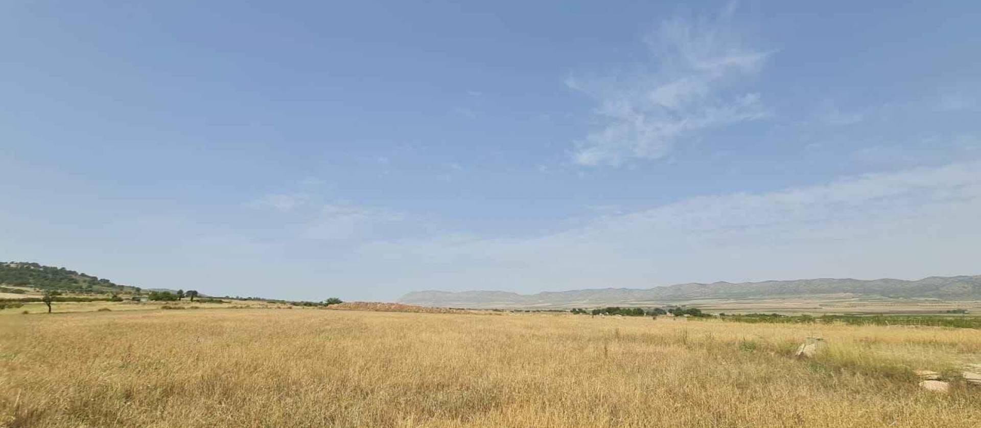 Revente - Land - Yecla