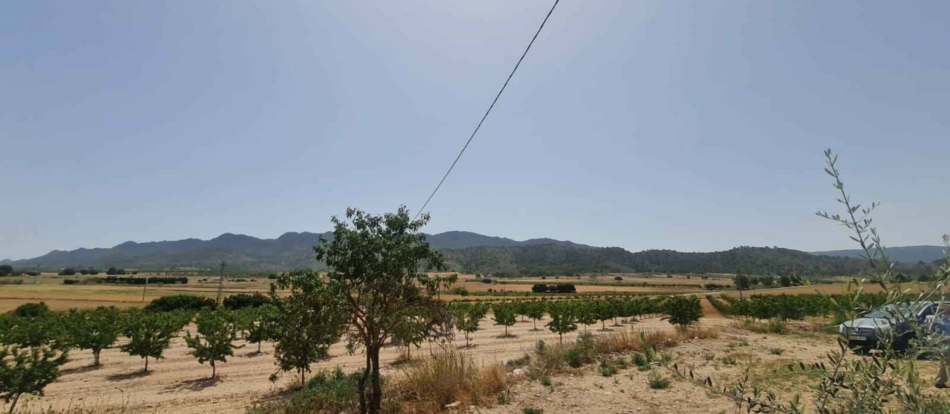 Revente - Land - Yecla