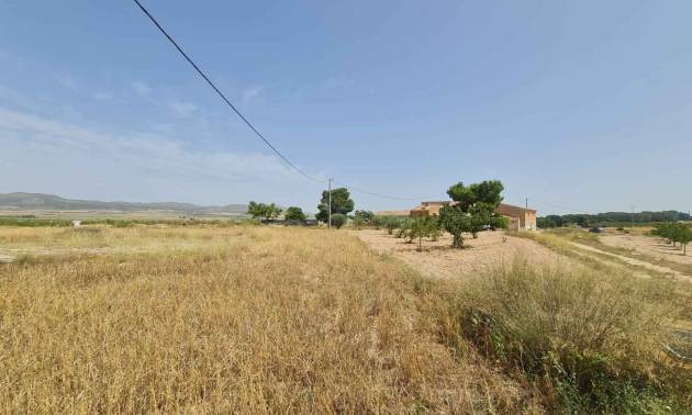 Revente - Land - Yecla