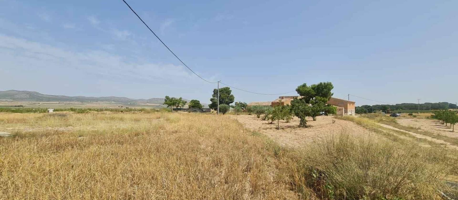 Revente - Land - Yecla