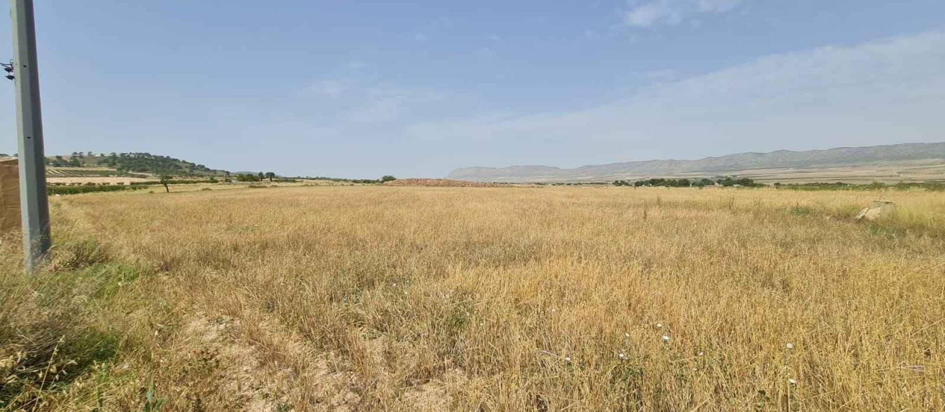 Revente - Land - Yecla