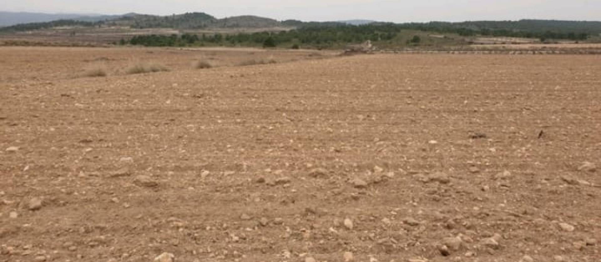 Sale - Land - Pinoso