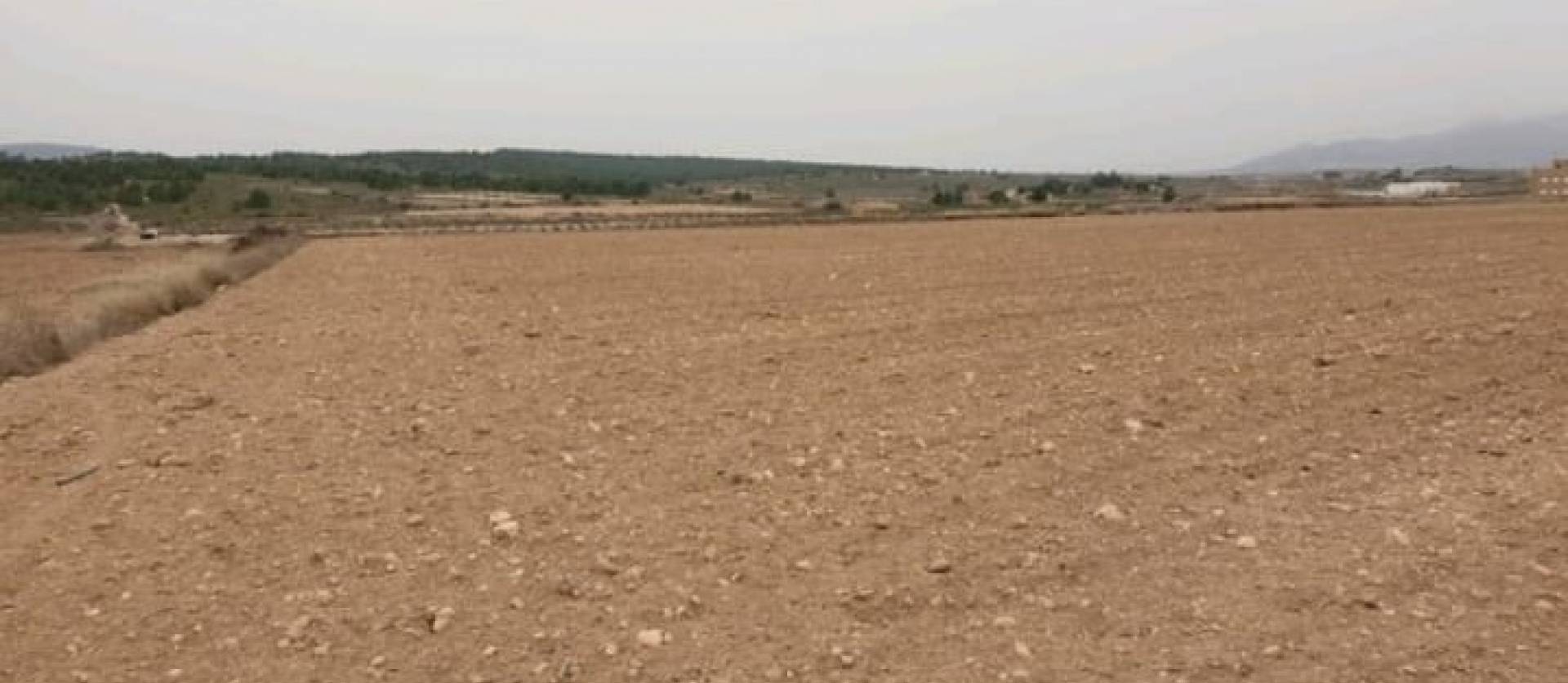 Sale - Land - Pinoso