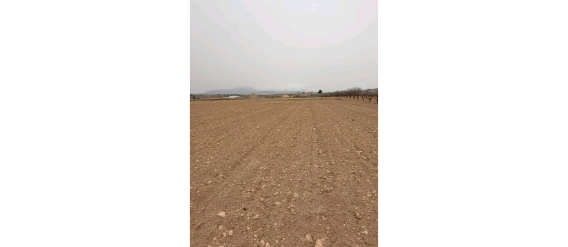 Sale - Land - Pinoso