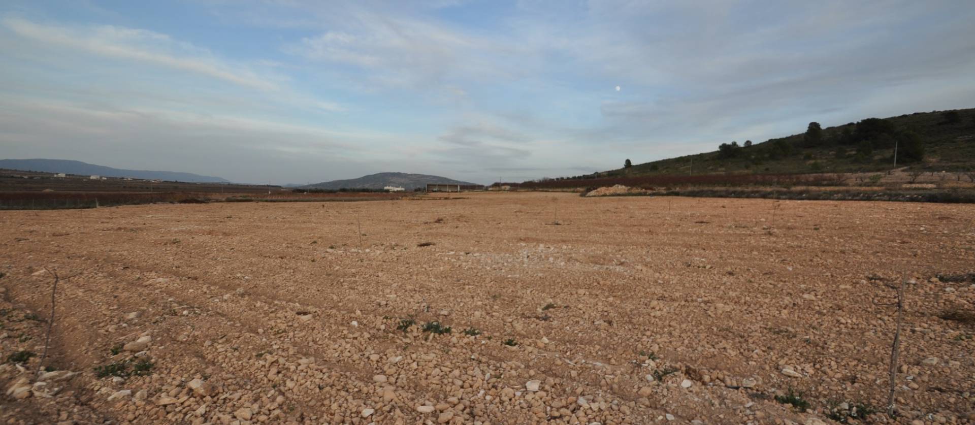 Sale - Land - Canada del Trigo