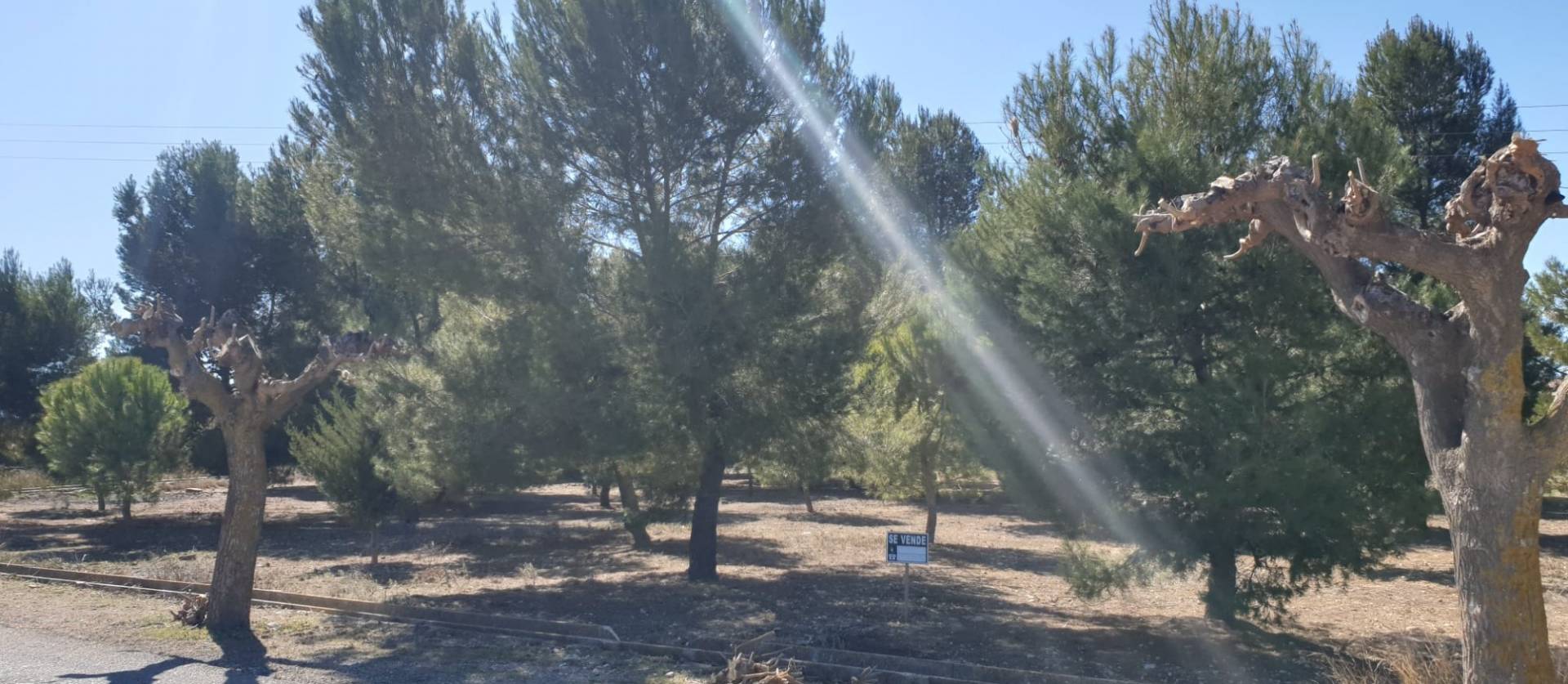 Sale - Land - Benejama