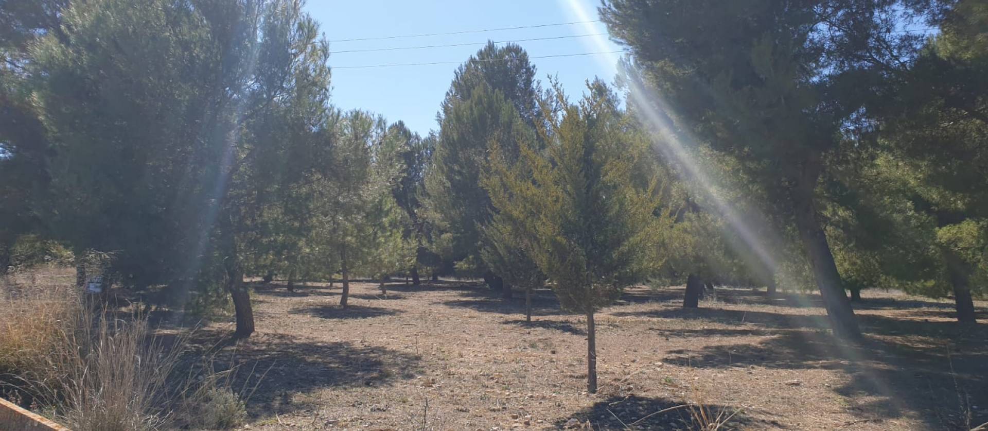 Sale - Land - Benejama