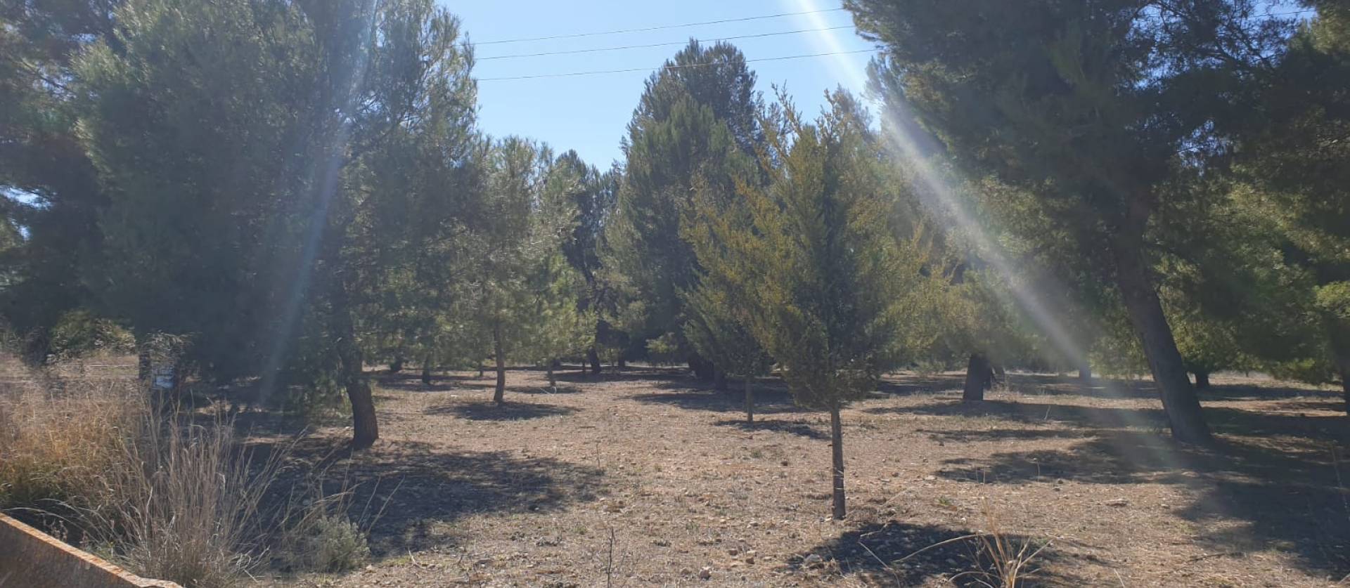 Sale - Land - Benejama