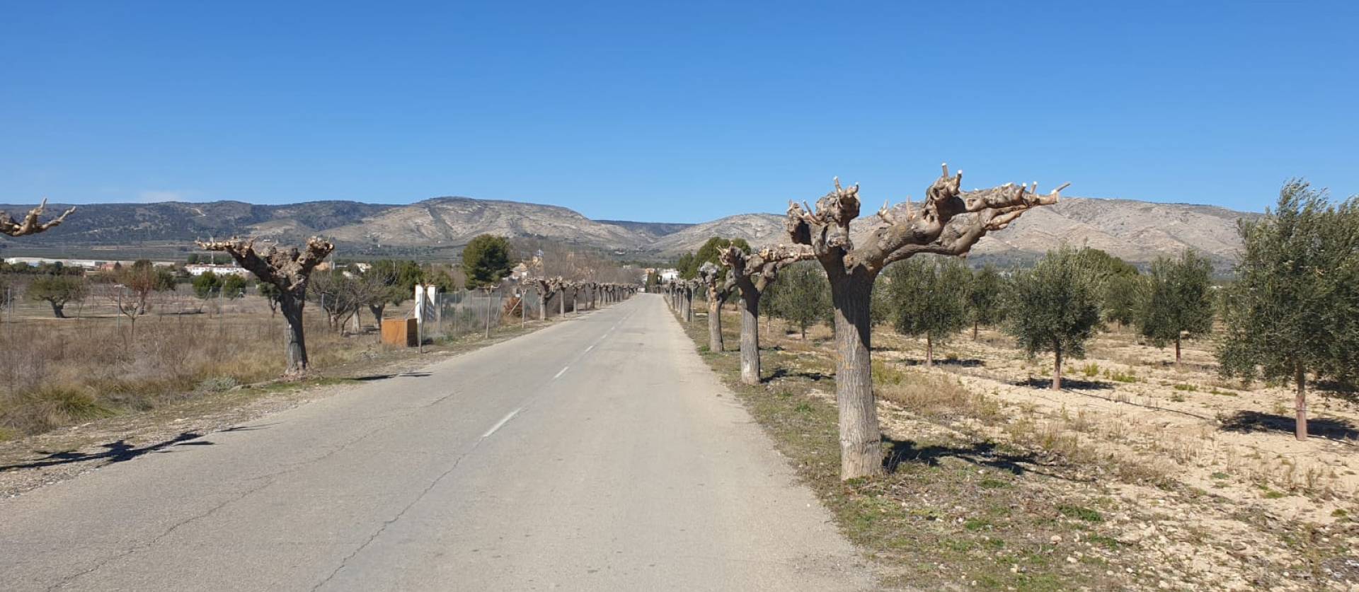 Sale - Land - Benejama