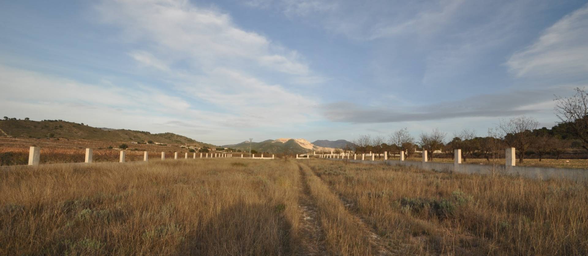 Sale - Land - Canada De La Lena - Cañada de la Leña