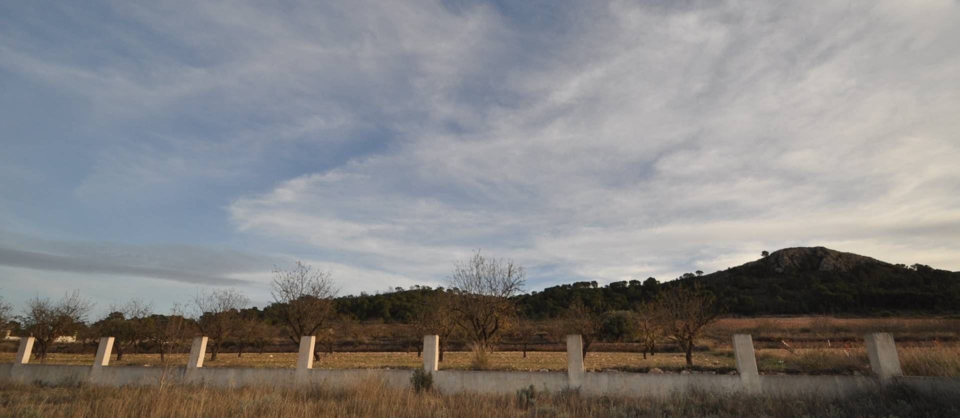 Sale - Land - Canada De La Lena - Cañada de la Leña