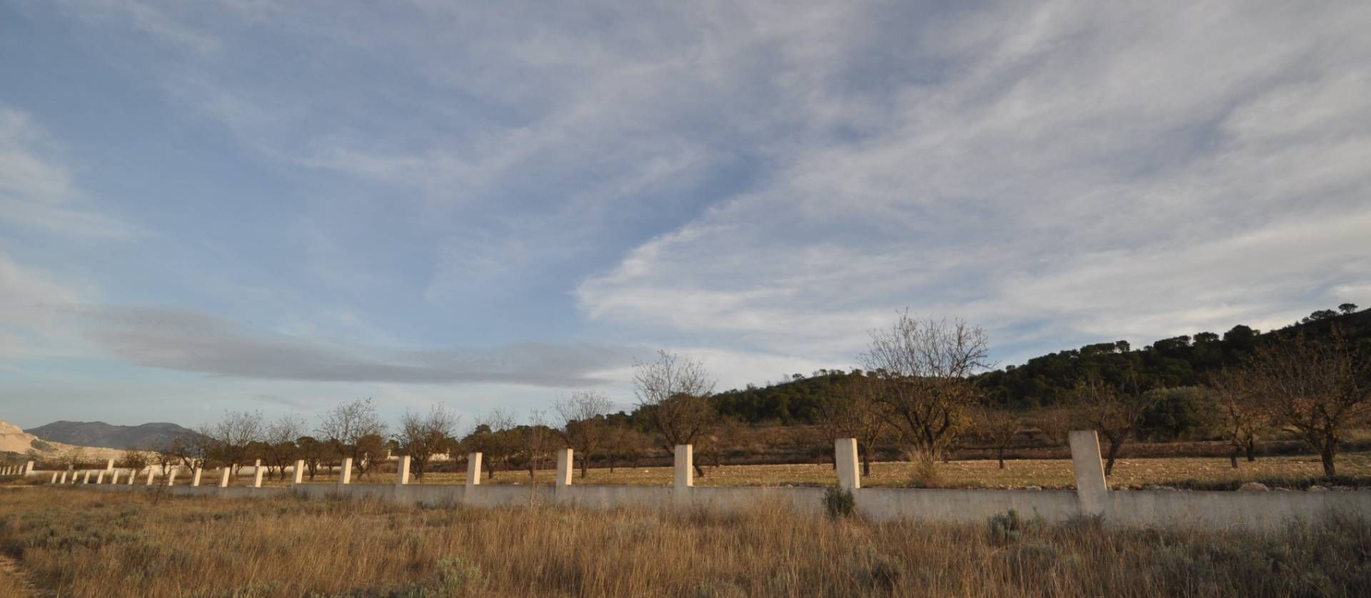 Sale - Land - Canada De La Lena - Cañada de la Leña