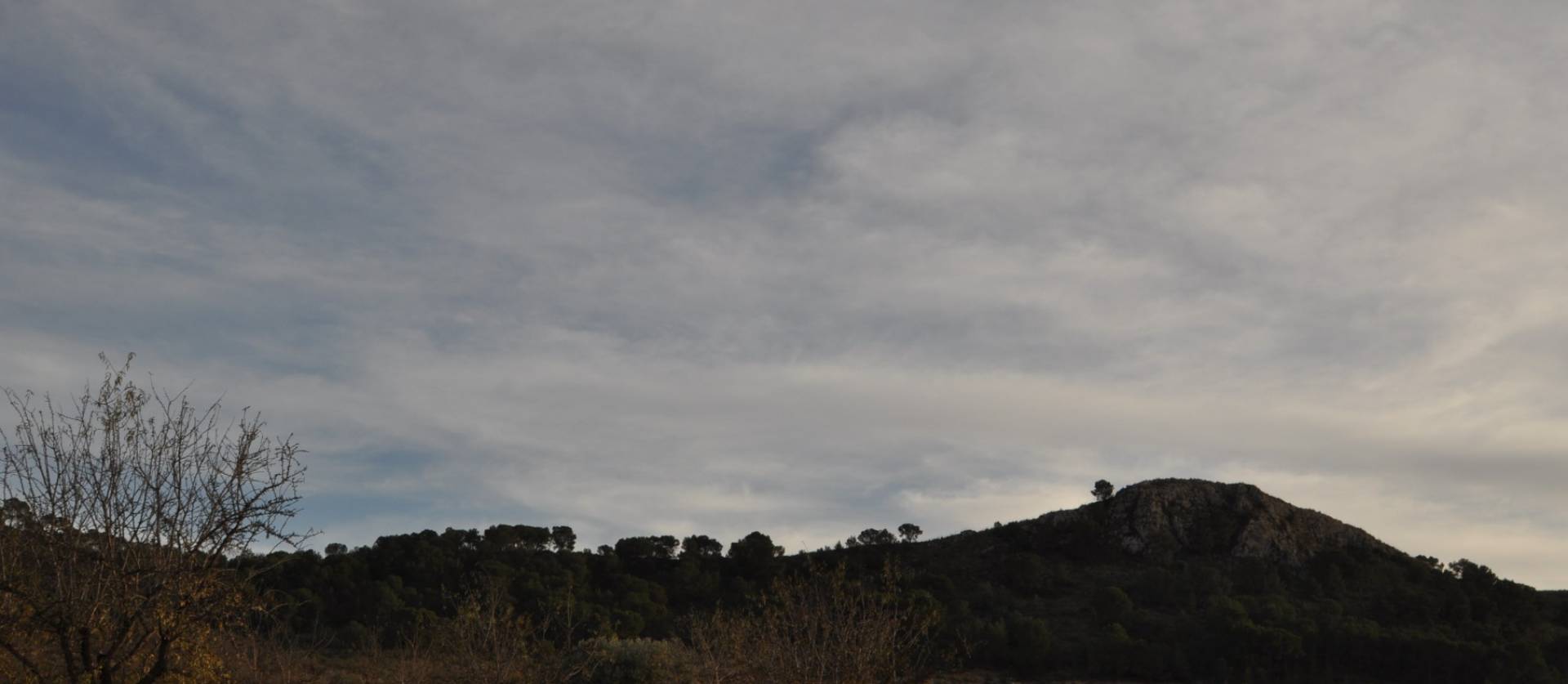 Sale - Land - Canada De La Lena - Cañada de la Leña