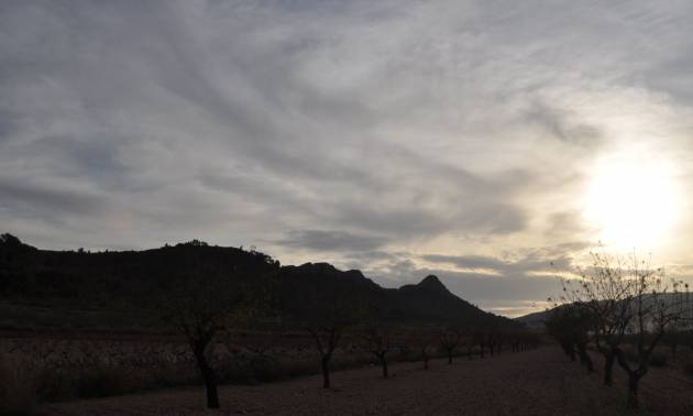 Sale - Land - Canada De La Lena - Cañada de la Leña