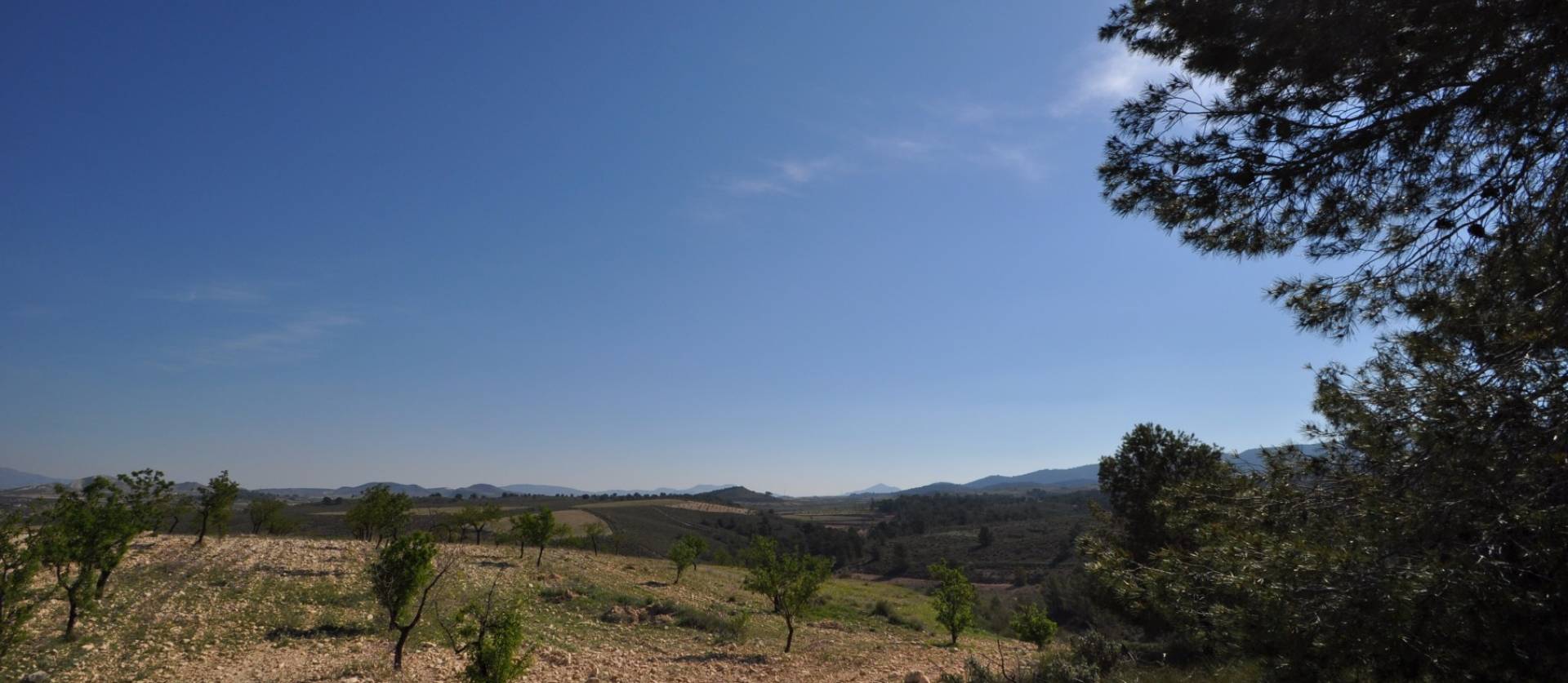 Revente - Land - La Zarza