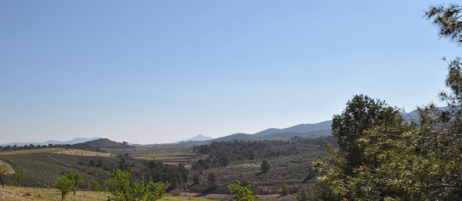 Revente - Land - La Zarza