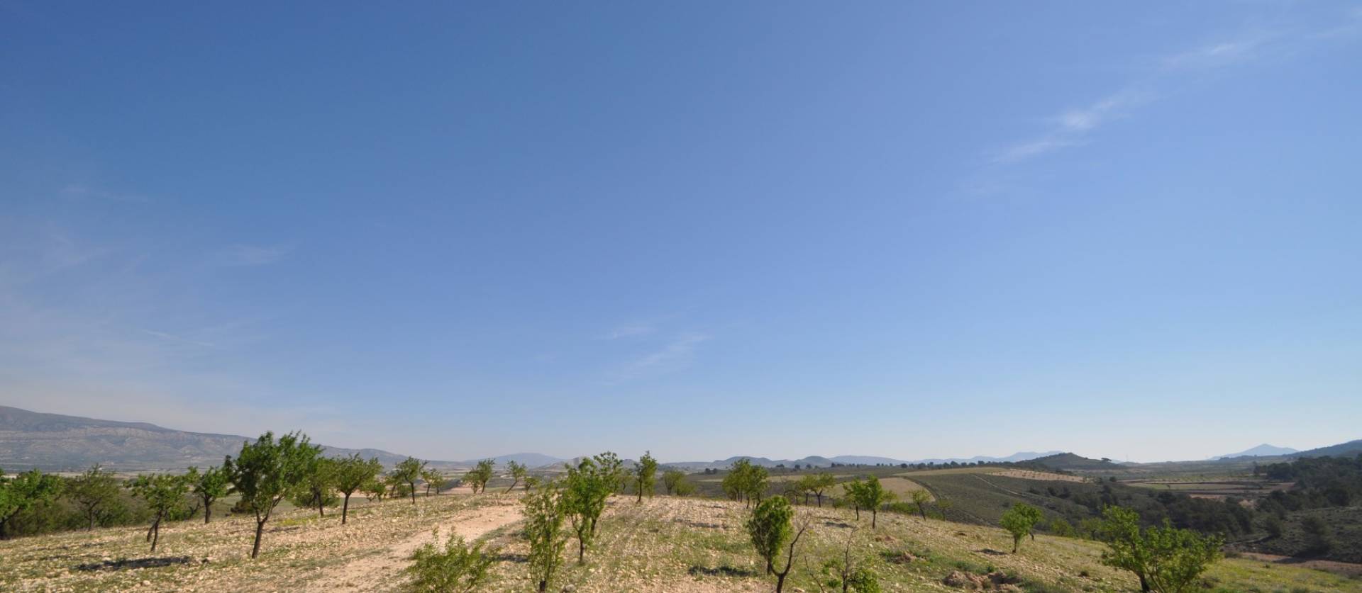 Revente - Land - La Zarza