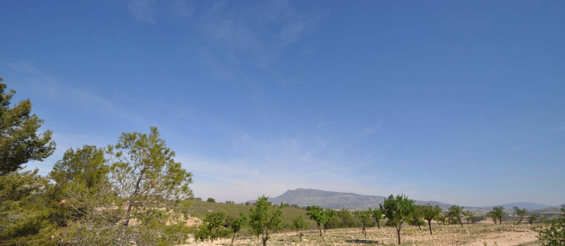 Revente - Land - La Zarza