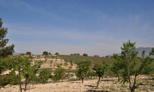 Revente - Land - La Zarza