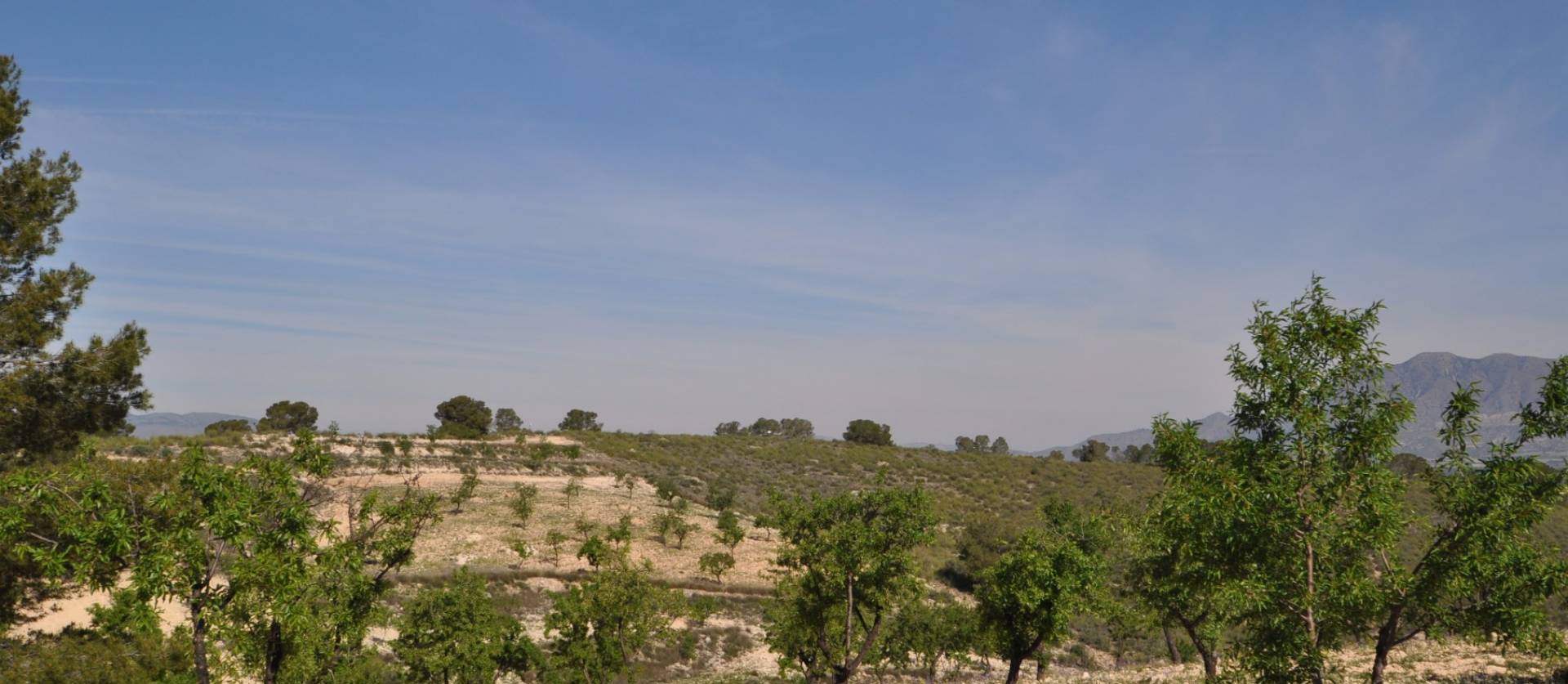 Revente - Land - La Zarza