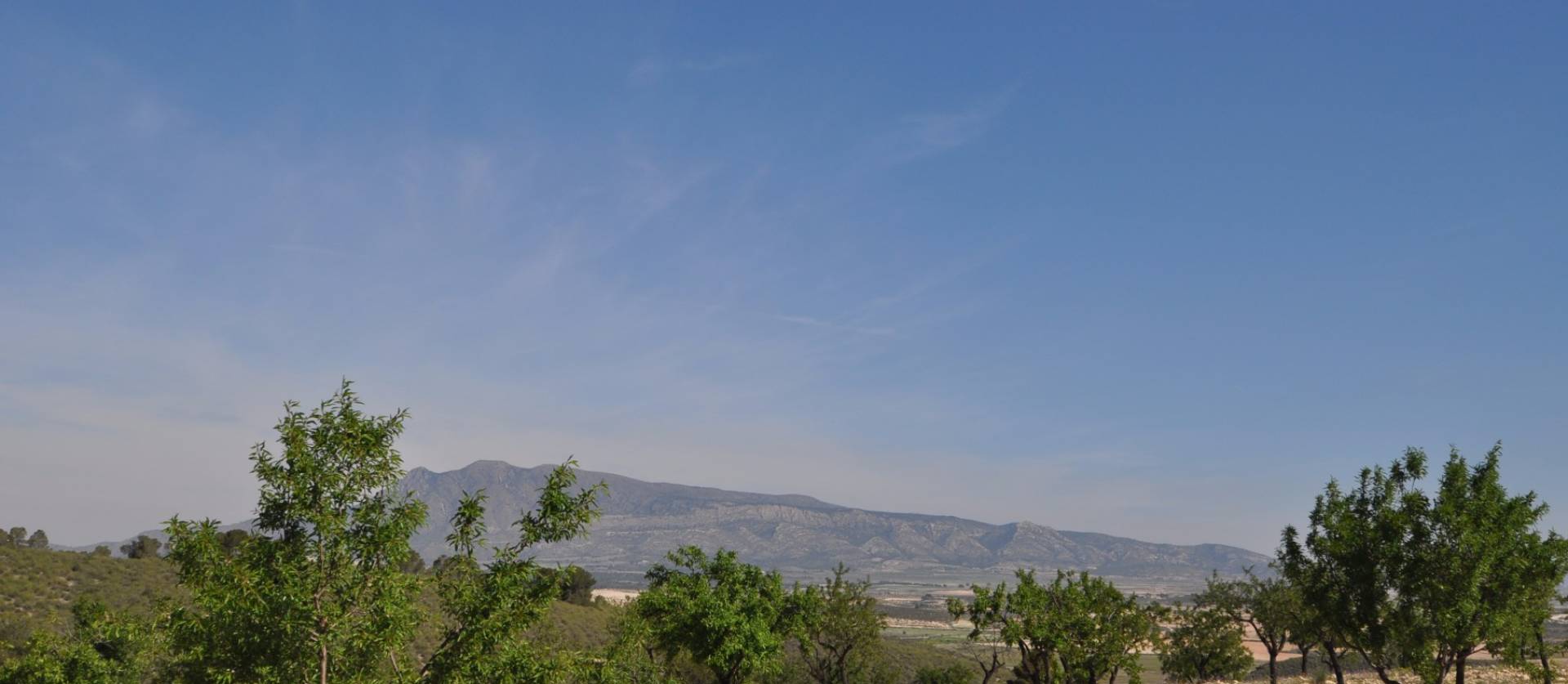 Revente - Land - La Zarza