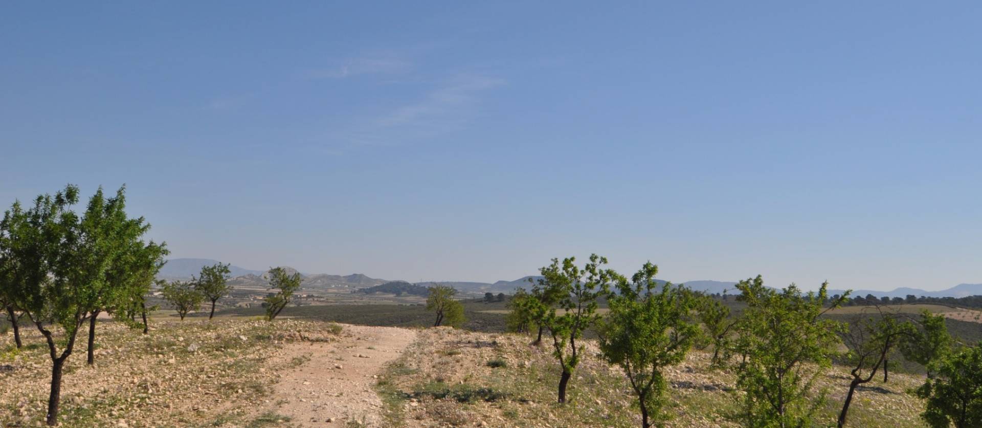 Revente - Land - La Zarza